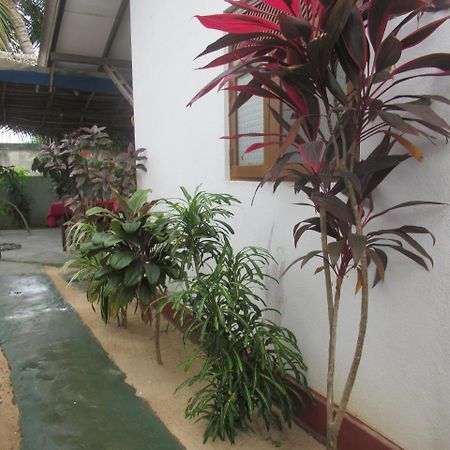 Julie Guest House Tangalle Ngoại thất bức ảnh