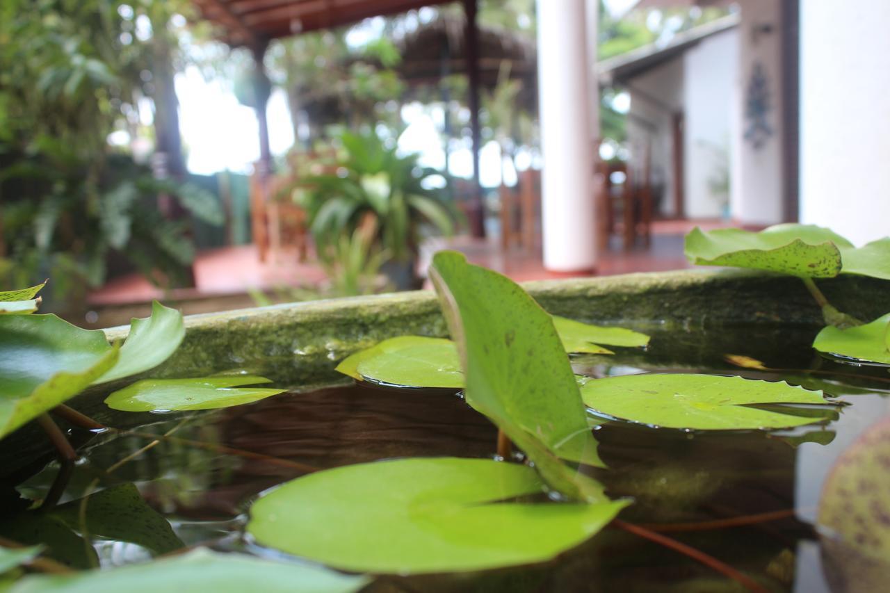 Julie Guest House Tangalle Ngoại thất bức ảnh