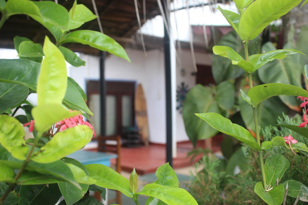 Julie Guest House Tangalle Ngoại thất bức ảnh
