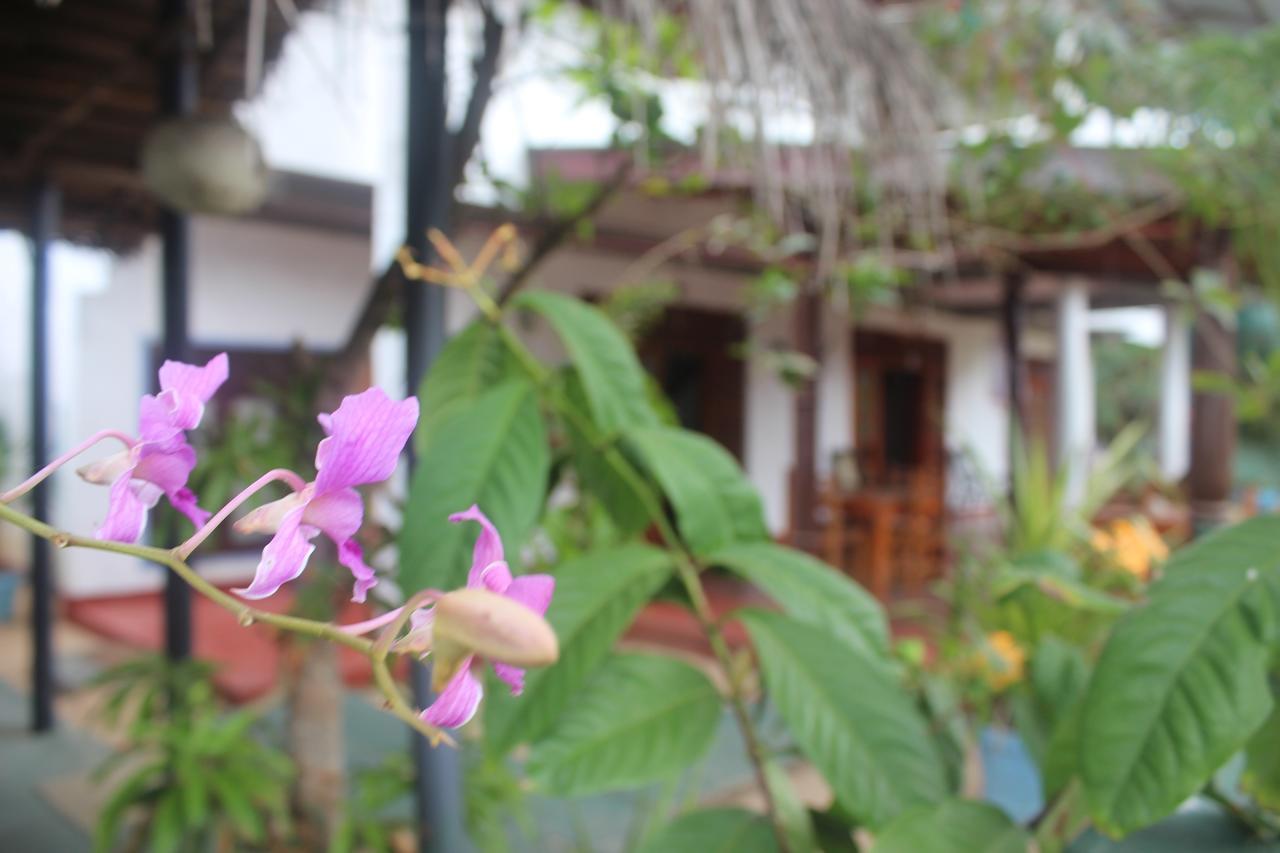 Julie Guest House Tangalle Ngoại thất bức ảnh