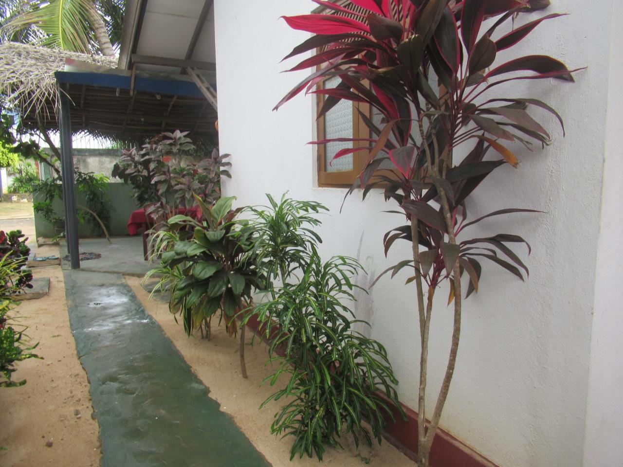 Julie Guest House Tangalle Ngoại thất bức ảnh