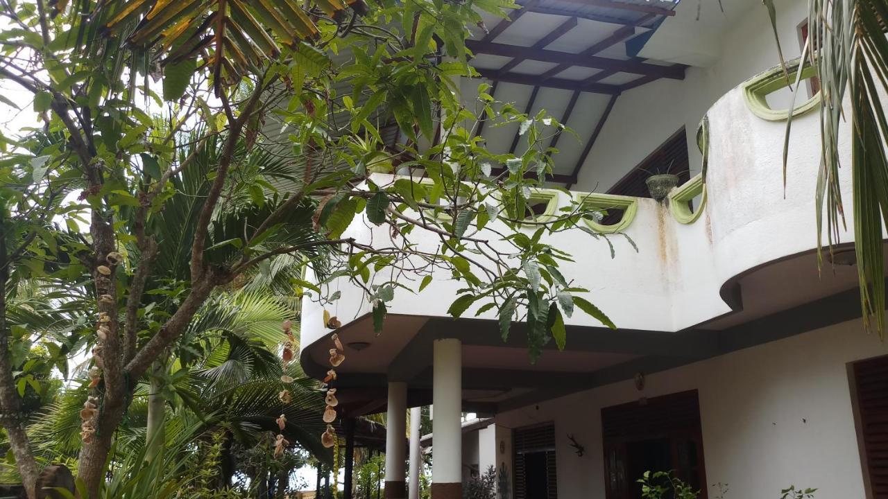 Julie Guest House Tangalle Ngoại thất bức ảnh