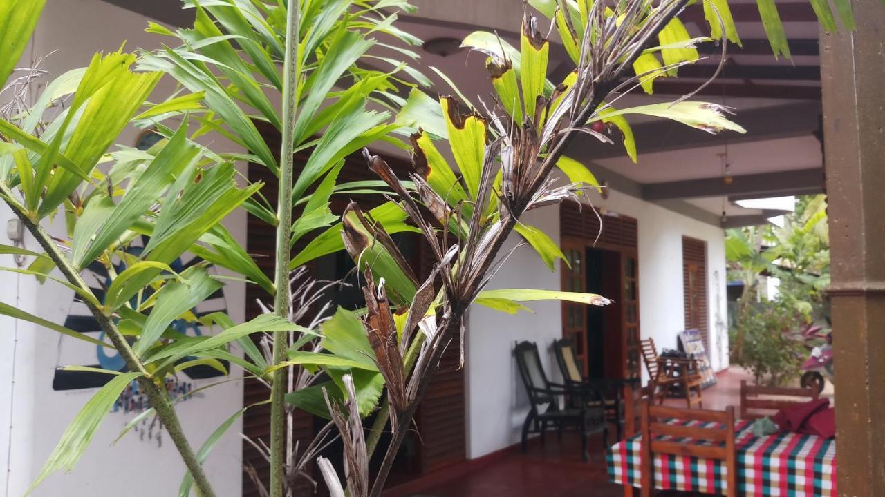 Julie Guest House Tangalle Ngoại thất bức ảnh
