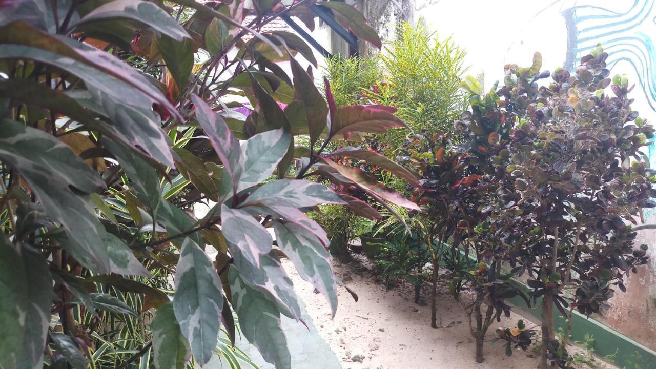 Julie Guest House Tangalle Ngoại thất bức ảnh
