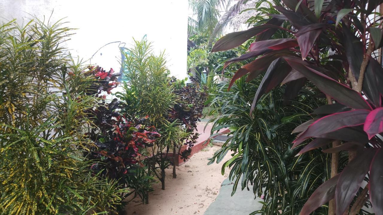 Julie Guest House Tangalle Ngoại thất bức ảnh